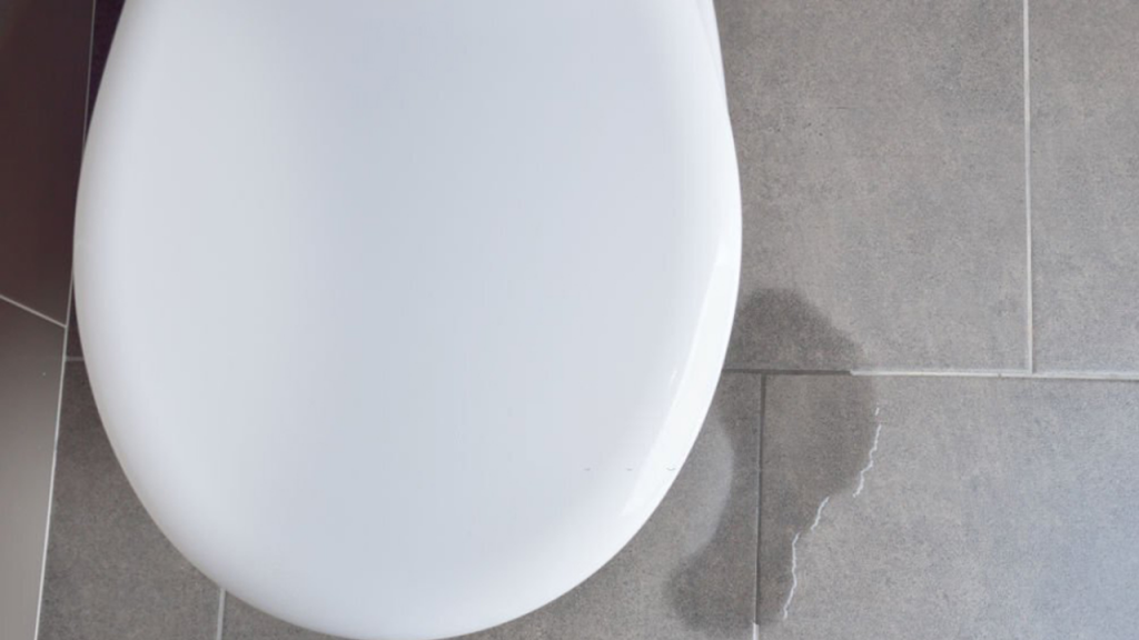 Mẹo sửa bồn cầu bị rỉ nước 0 đồng ngay tại nhà