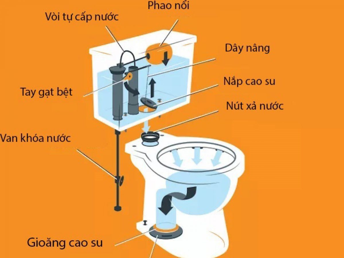 Bồn cầu phân ly khá dễ lắp đặt, dễ thay thế sửa chữa