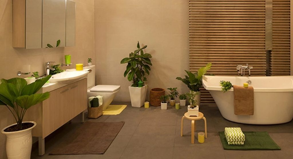 cây để trong nhà vệ sinh