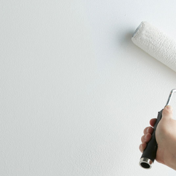 Sơn lót kháng kiềm