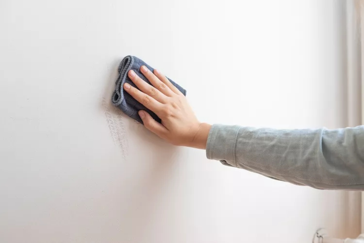 Sơn nội thất rất dễ lau chùi
